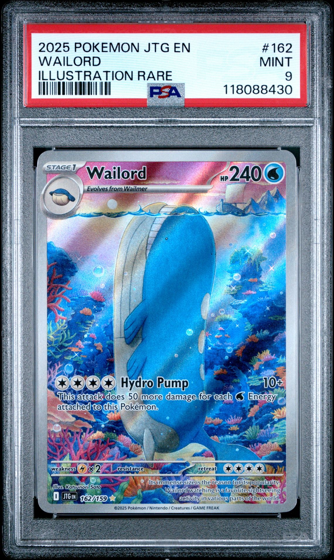 2025 Pokemon Jtg En-Journey Together Wailord #162 (Illustration Rare) Mint 9 front