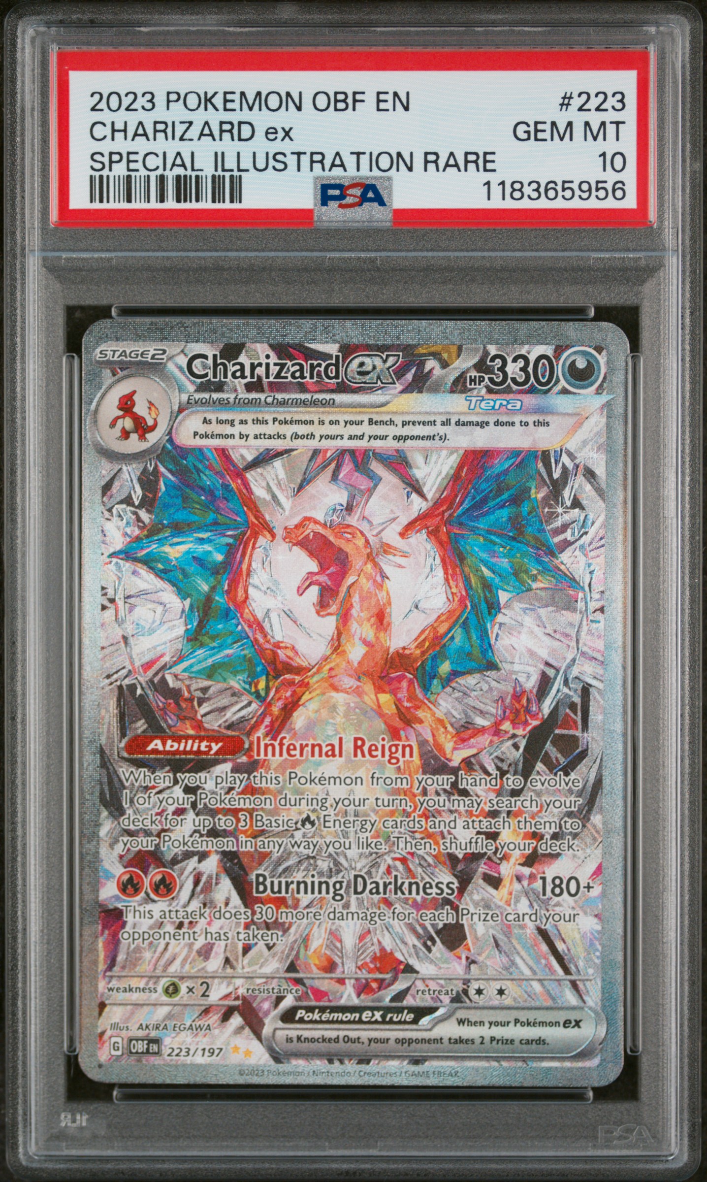 psa vs bgs vs cgc Charizard ex