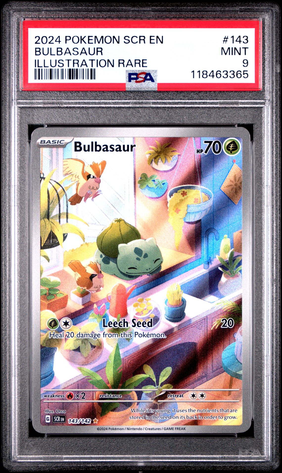 2024 Pokemon Scr En-Stellar Crown Bulbasaur #143 (Illustration Rare) Mint 9 front