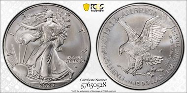 2025-W $1 Burnished Silver Eagle SP69