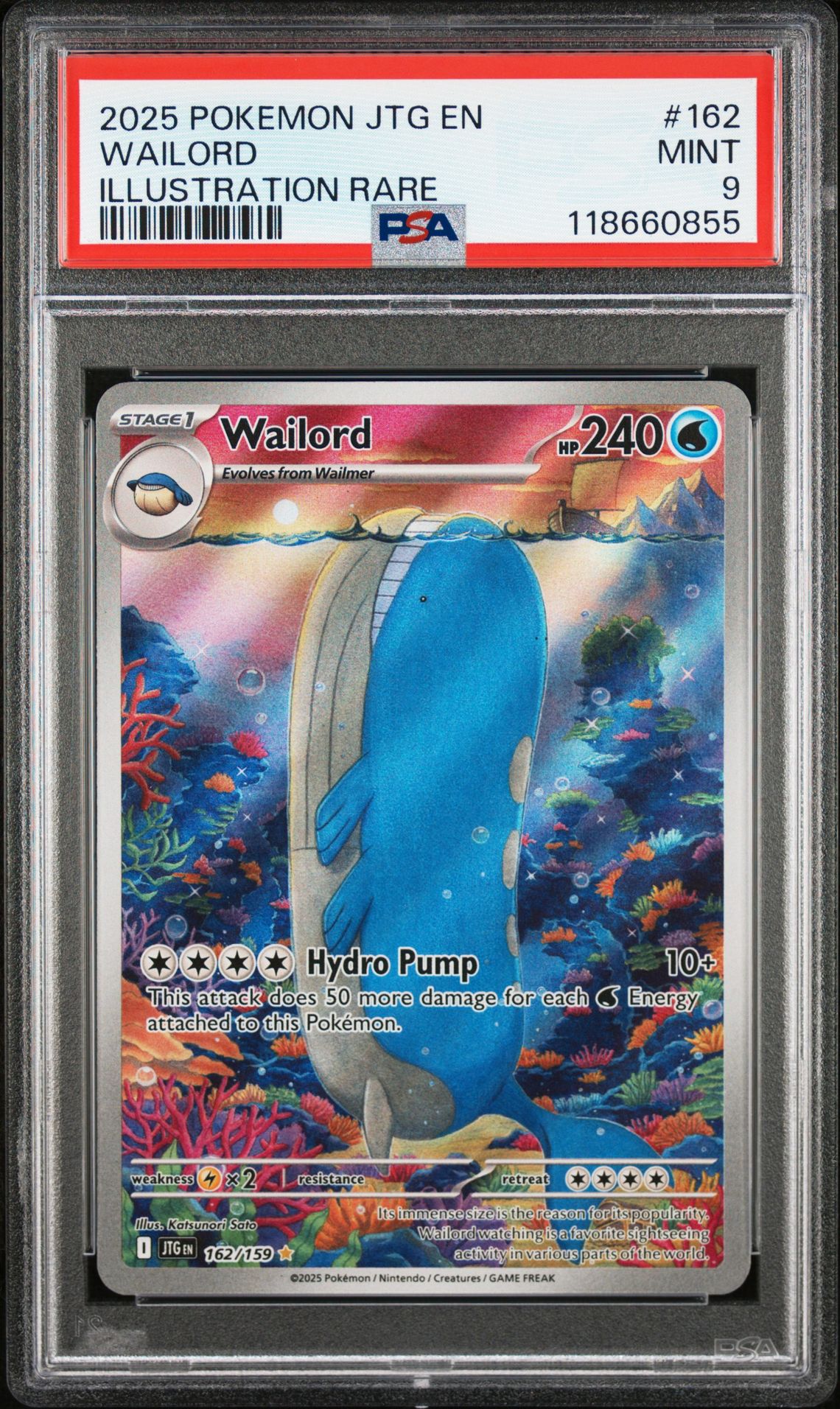 2025 Pokemon Jtg En-Journey Together Wailord #162 (Illustration Rare) Mint 9 front