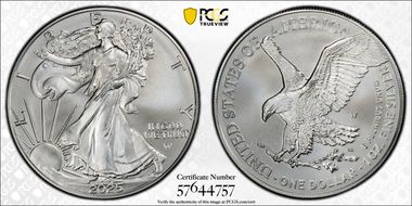 2025-W $1 Burnished Silver Eagle First Strike SP70