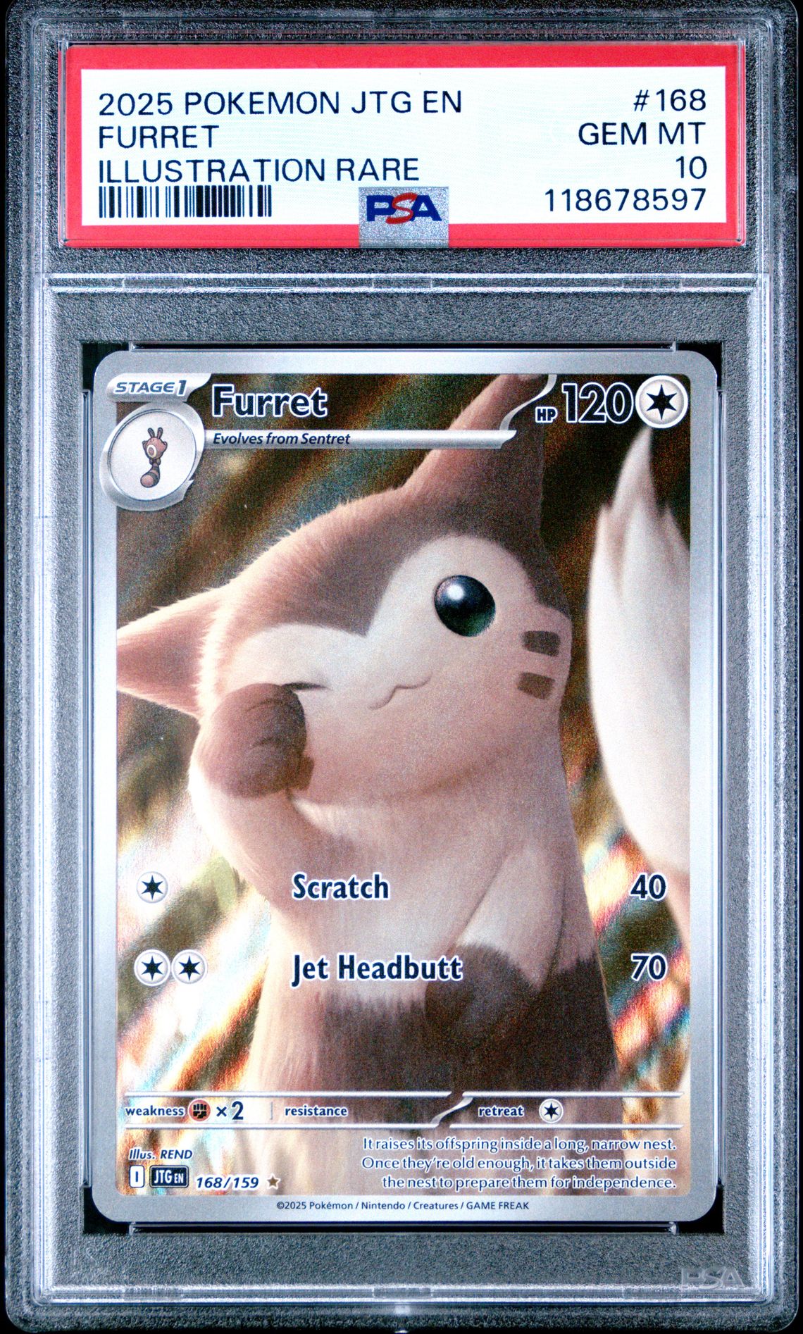 2025 Pokemon Jtg En-Journey Together Furret #168 (Illustration Rare) Gem Mt 10 front
