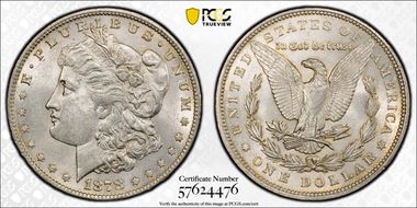 1878 7TF $1 VAM 222A, Face Chips MS61