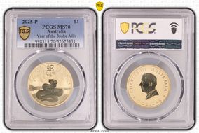 2025-P $1 Year of the Snake AlBr MS70