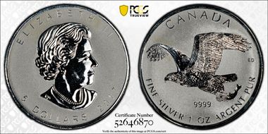 2017 $5  Bald Eagle Reverse PR PR69