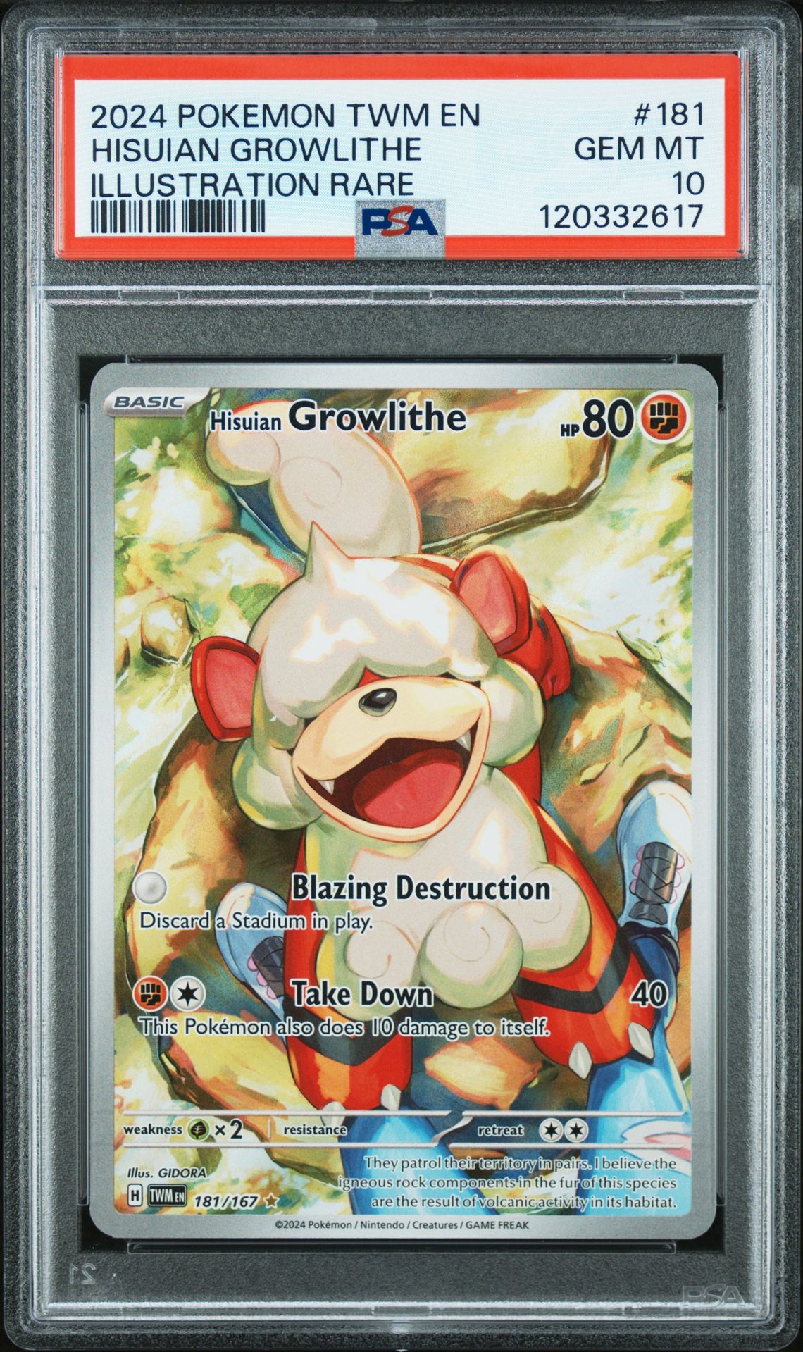 2024 Pokemon Twm En-Twilight Masquerade Hisuian Growlithe #181 (Illustration Rare) Gem Mt 10 front