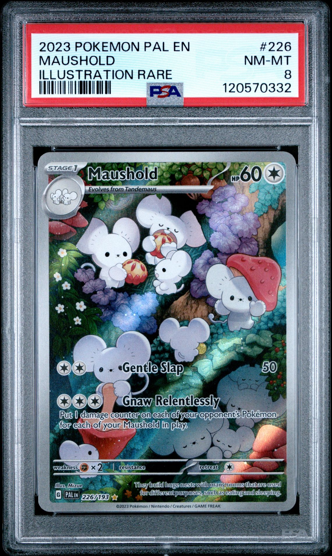 2023 Pokemon Pal En-Paldea Evolved Maushold #226 (Illustration Rare) Nm-Mt 8 front