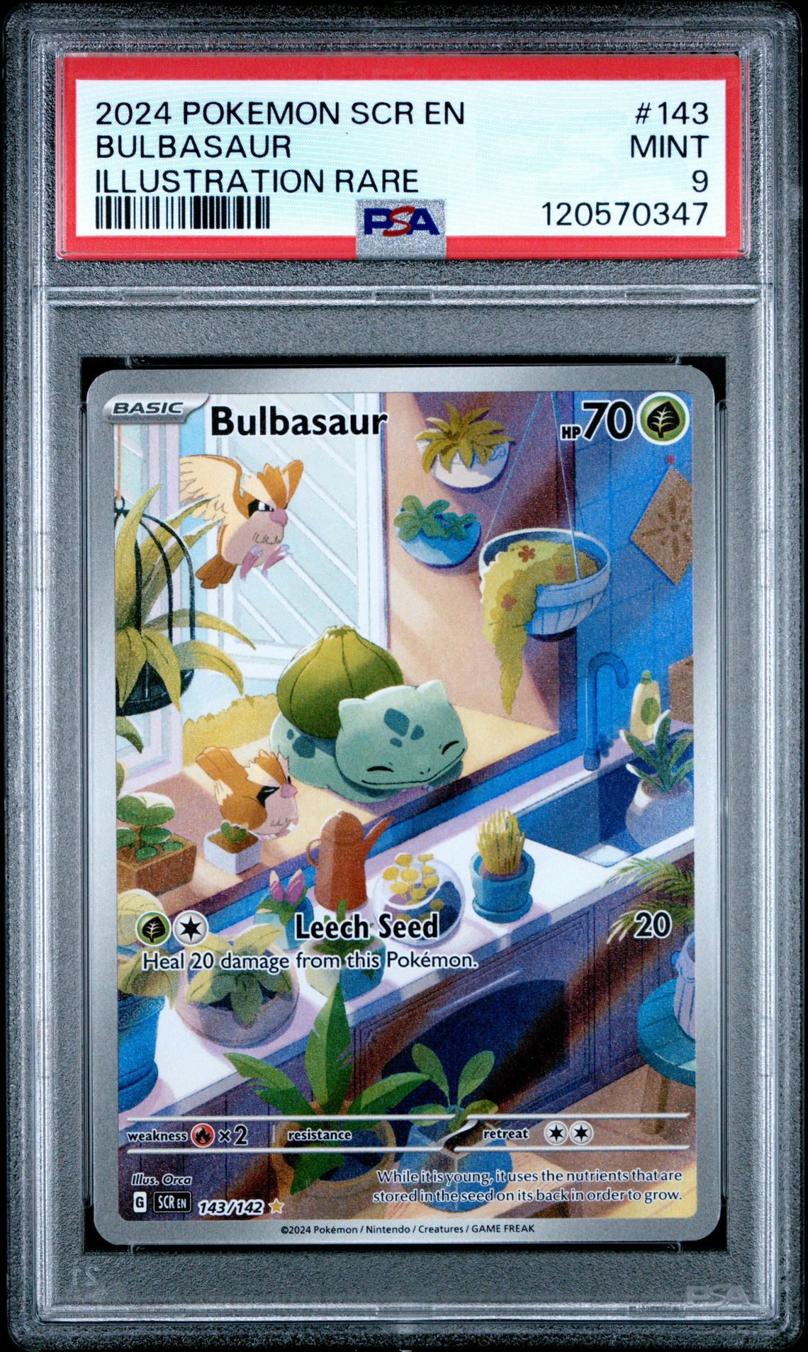 2024 Pokemon Scr En-Stellar Crown Bulbasaur #143 (Illustration Rare) Mint 9 front