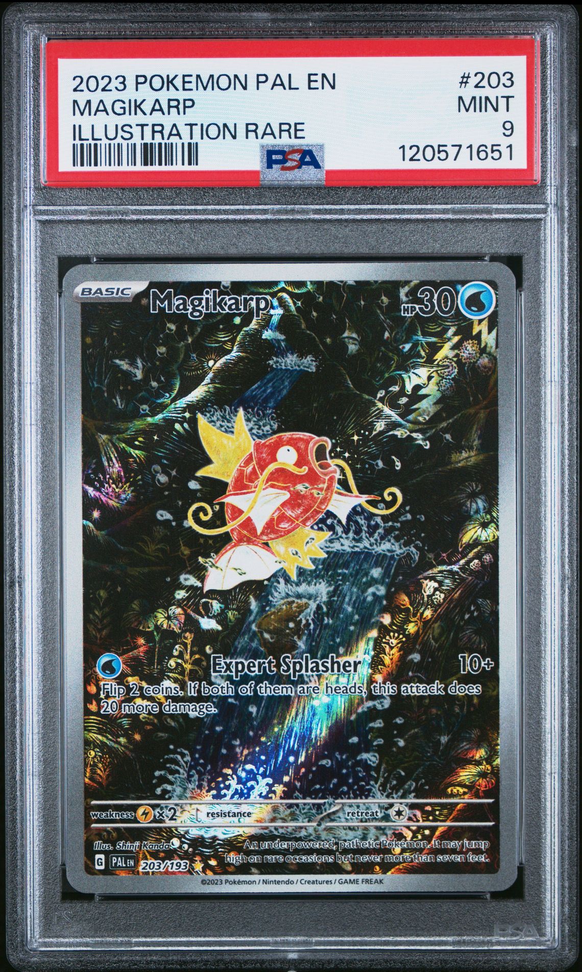 2023 Pokemon Pal En-Paldea Evolved Magikarp #203 (Illustration Rare) Mint 9 front
