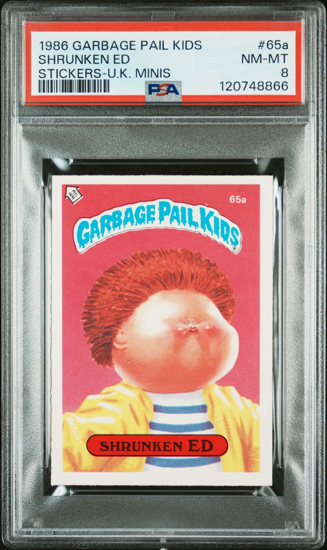 Shrunken Ed PSA 8