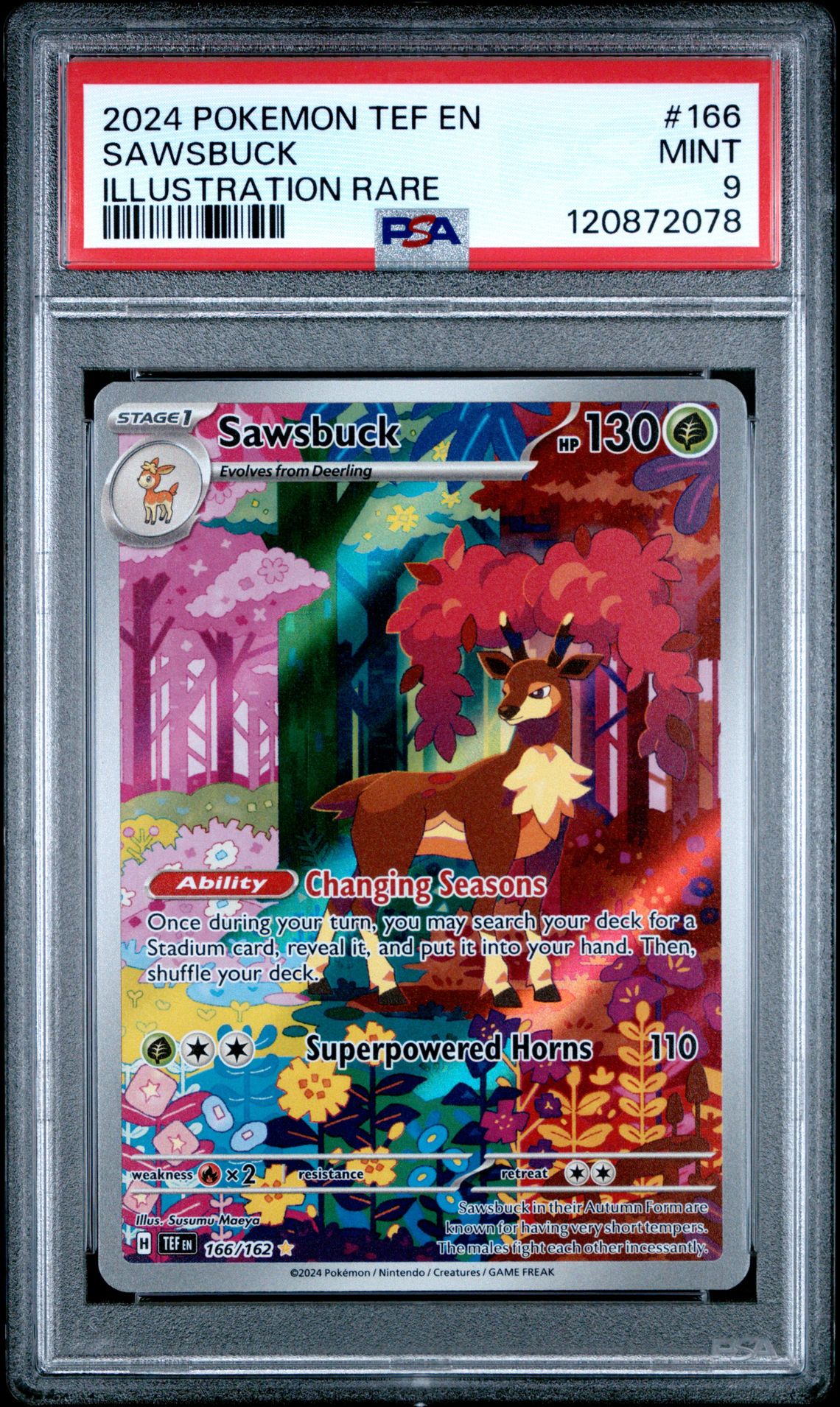 2024 Pokemon Tef En-Temporal Forces Sawsbuck #166 (Illustration Rare) Mint 9 front