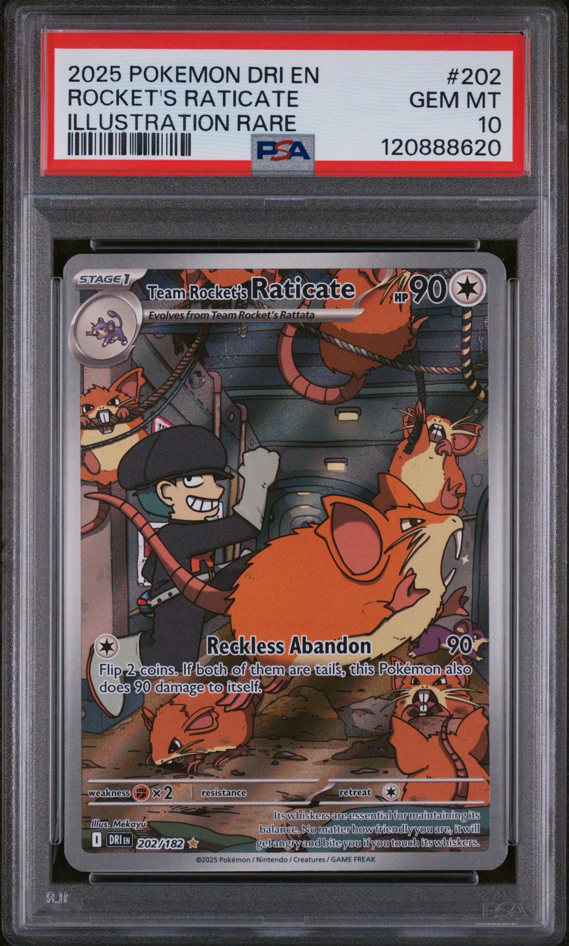2025 Pokemon POKEMON DRI EN-DESTINED RIVALS ILLUSTRATION RARE #202 Rocket's Raticate front