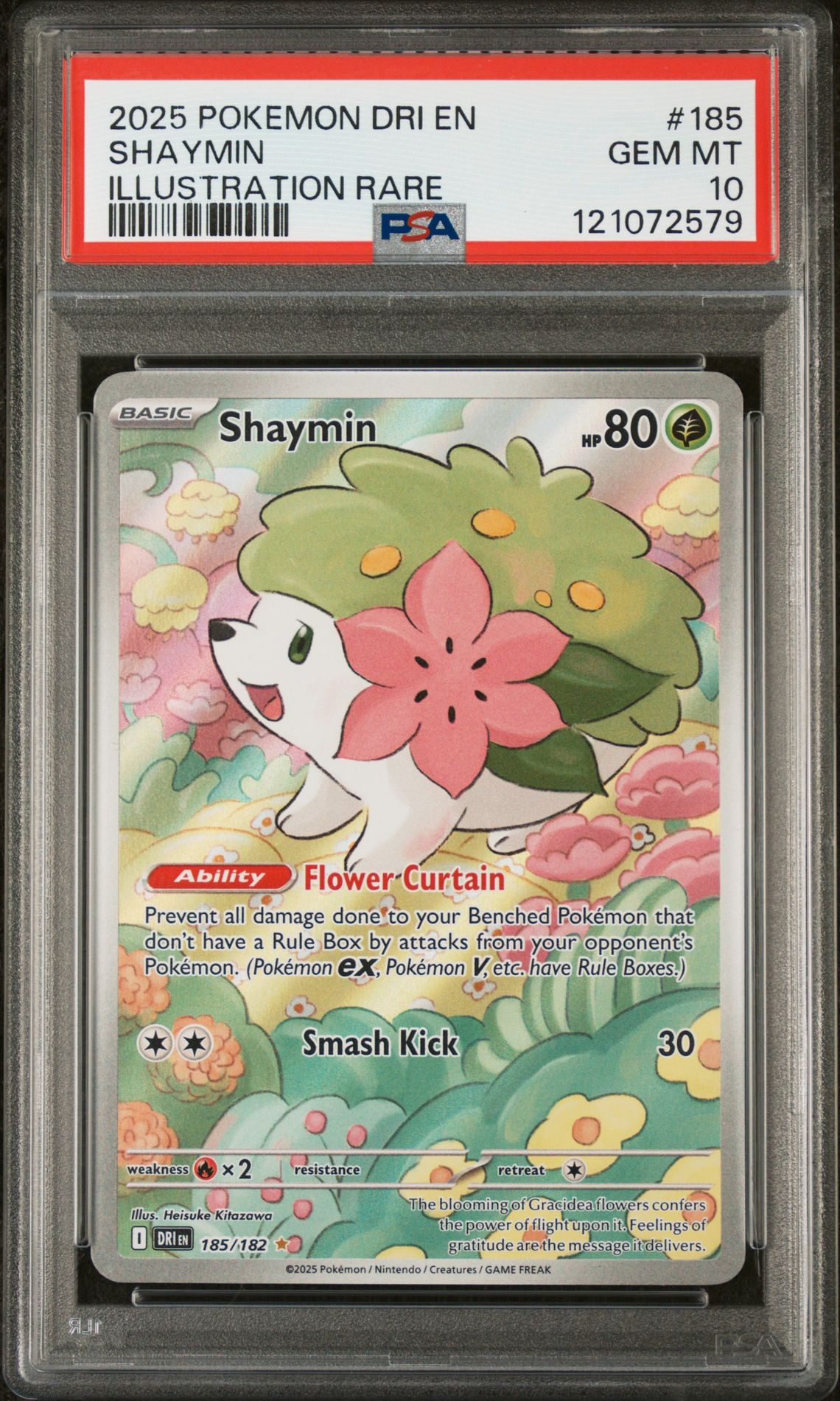 2025 Pokemon POKEMON DRI EN-DESTINED RIVALS Illustration Rare #185 Shaymin front