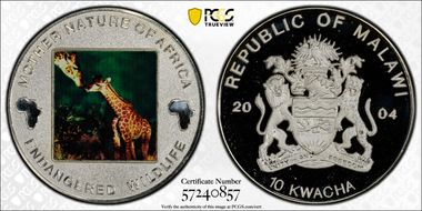 2004 10 Kw Giraffe - Colorized Endangered Wildlife PR69DCAM