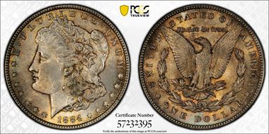 1884 $1 MS64