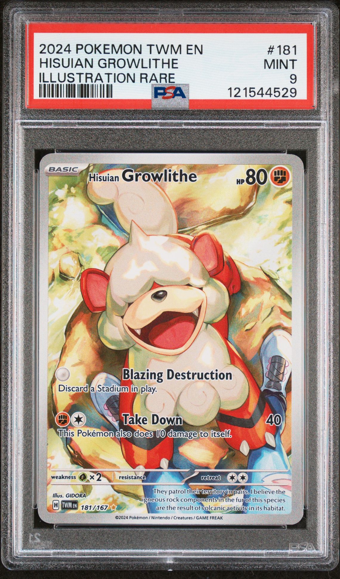 2024 Pokemon Twm En-Twilight Masquerade Hisuian Growlithe #181 (Illustration Rare) Mint 9 front