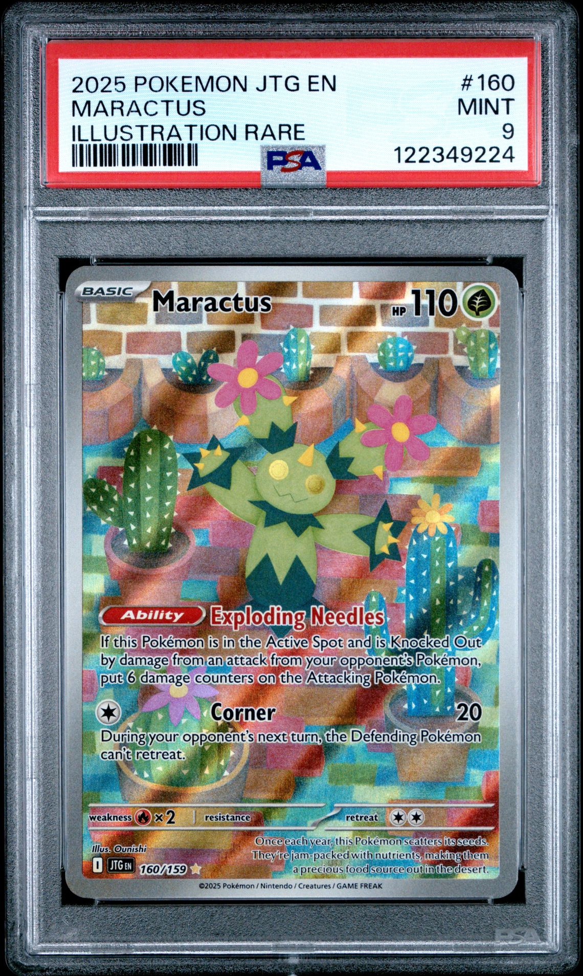2025 Pokemon Jtg En-Journey Together Maractus #160 (Illustration Rare) Mint 9 front
