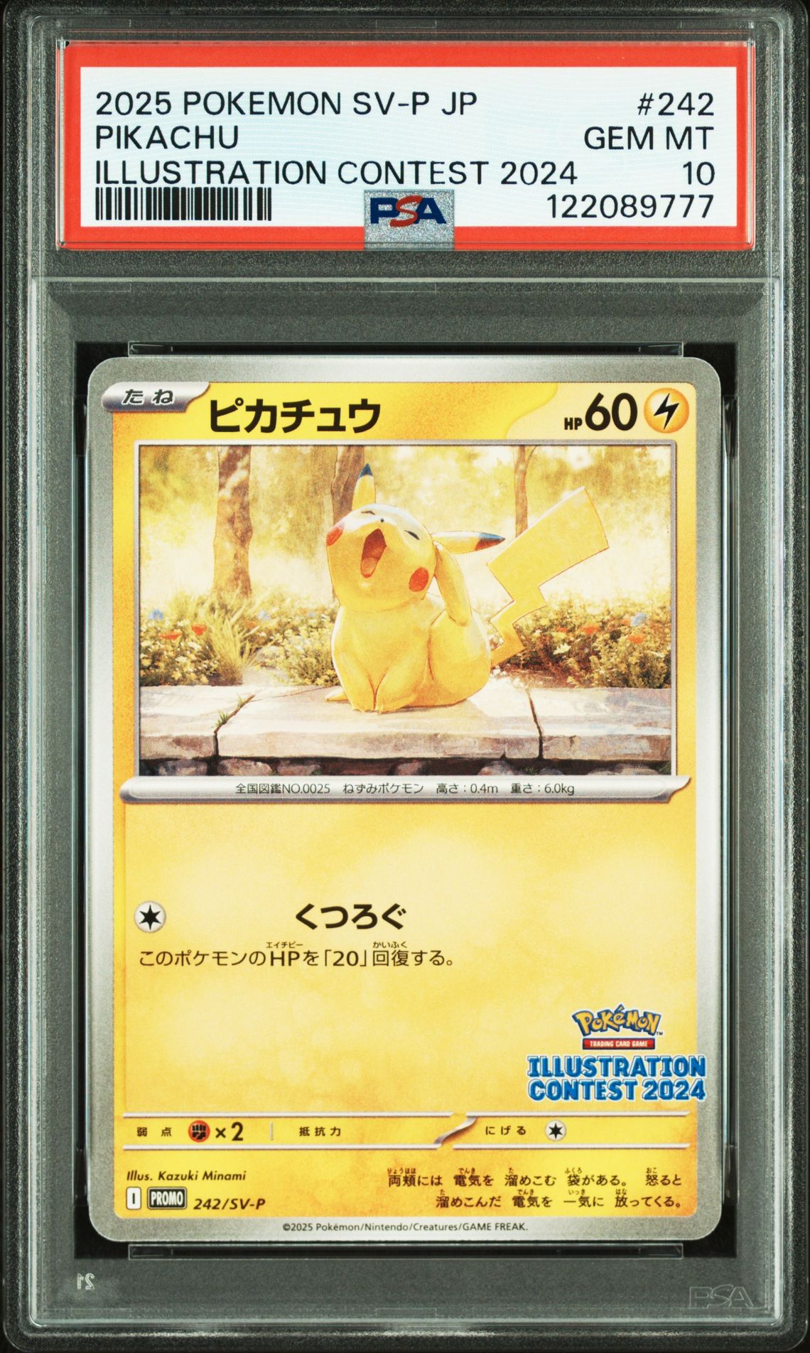 2025 Pokemon POKEMON JAPANESE SV-P PROMO ILLUSTRATION CONTEST 2024 #242 Pikachu front