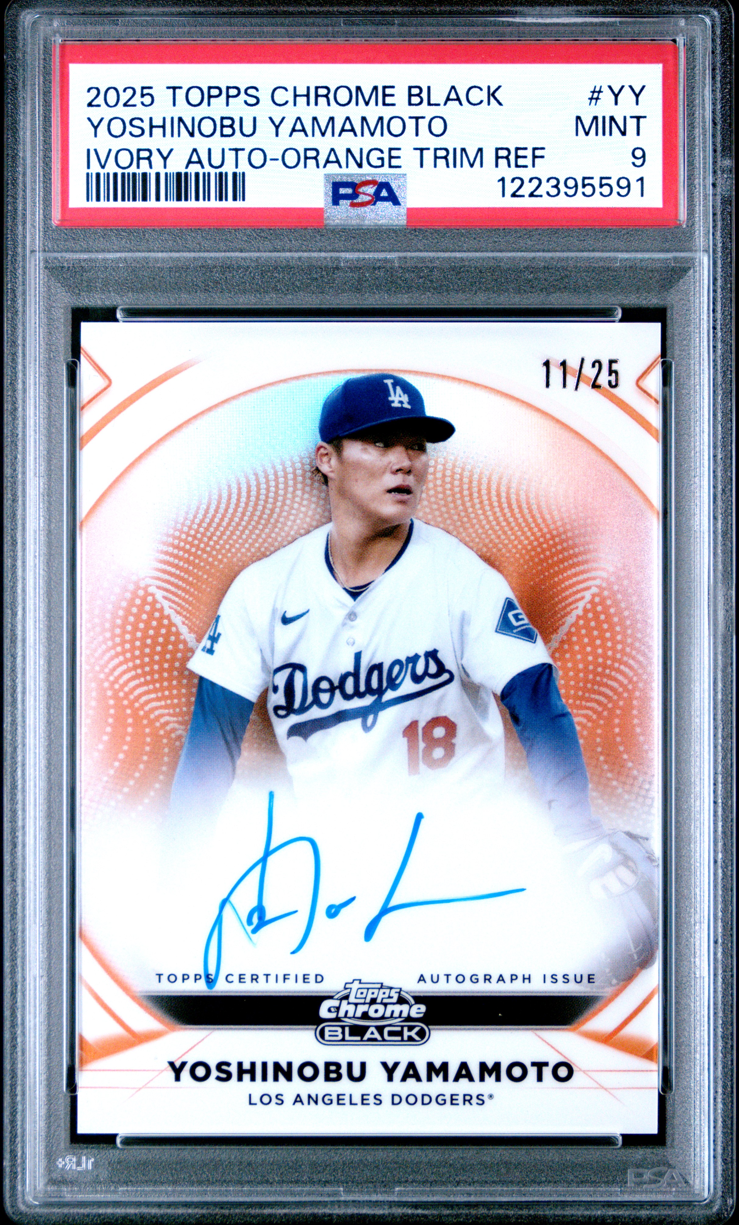 ptooo様確認用 Cert Verification 122395591