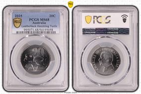 2025 20C Leatherback Hatchling Turtle MS68