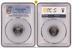 2025 5C Tawny Frogmouth Chick MS68