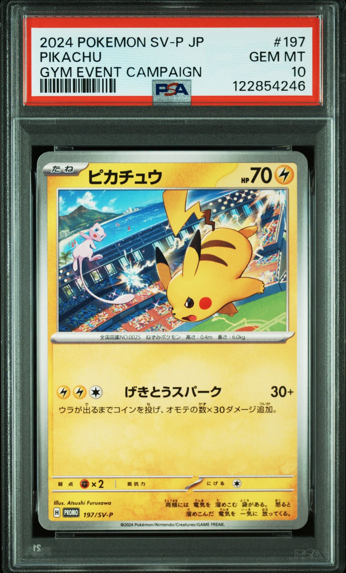 2024 Pokemon POKEMON JAPANESE SV-P PROMO GYM EVENT CAMPAIGN #197 Pikachu front
