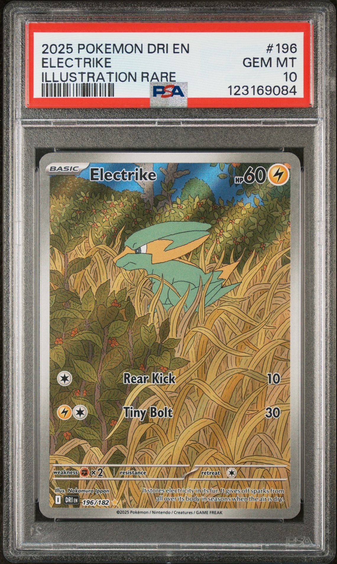 2025 Pokemon POKEMON DRI EN-DESTINED RIVALS #196 Electrike front