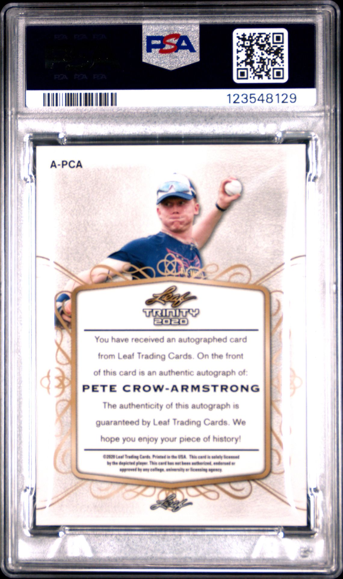 2020 Leaf Trinity Autograph Pete Crow-Armstrong #Pca (Autograph) Gem Mt 10 back