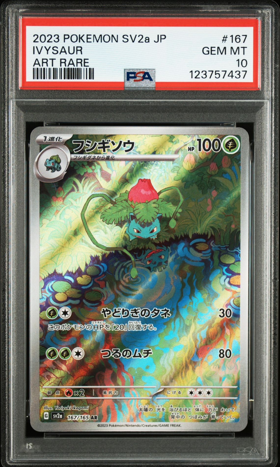 2023 Pokemon POKEMON JAPANESE SV2A-POKEMON 151 ART RARE #167 Ivysaur front