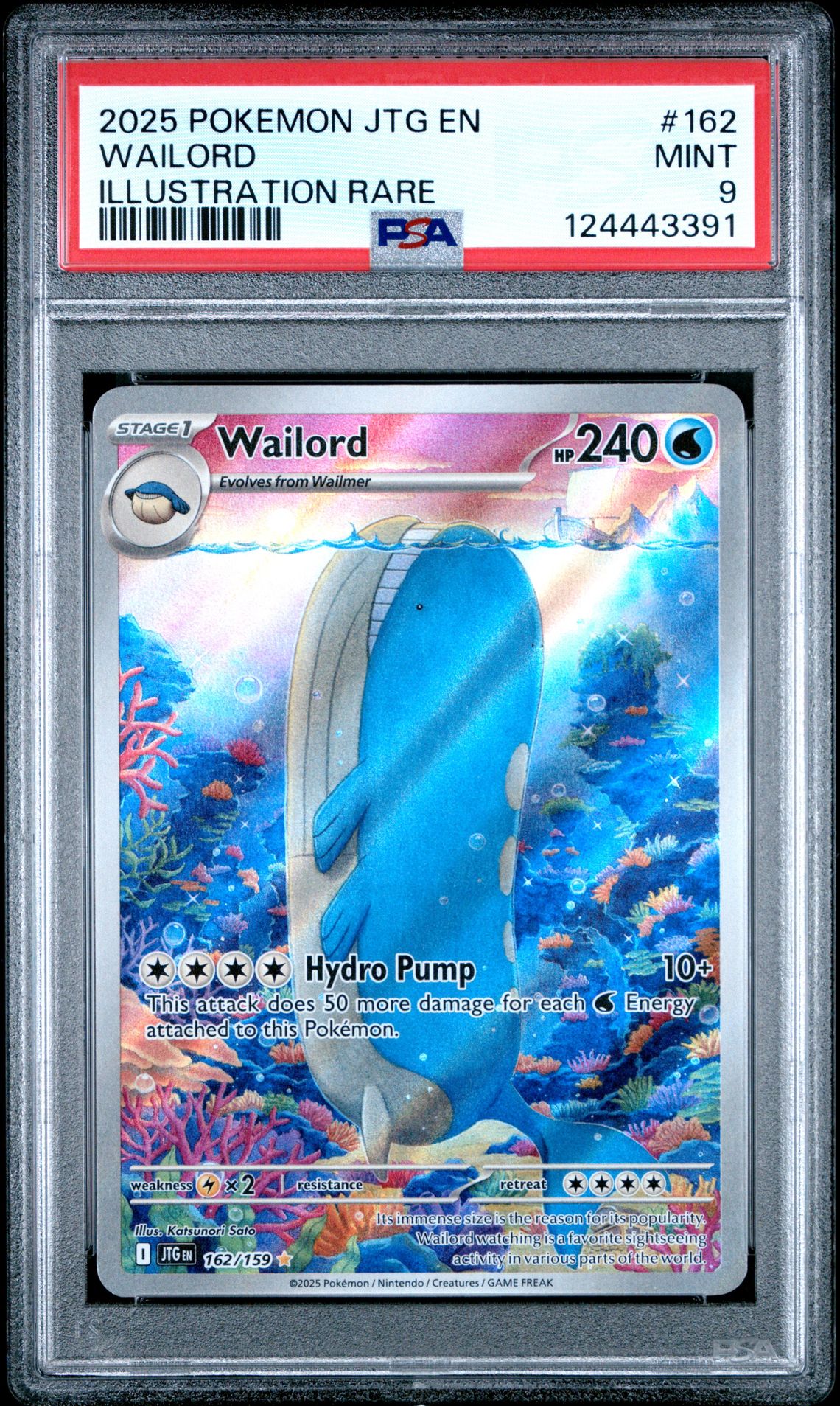 2025 Pokemon Jtg En-Journey Together Wailord #162 (Illustration Rare) Mint 9 front