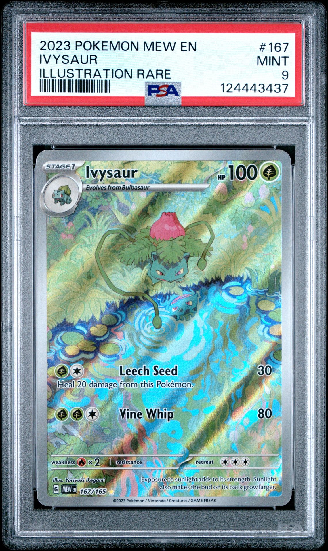 2023 Pokemon Mew En-151 Ivysaur #167 (Illustration Rare) Mint 9 front