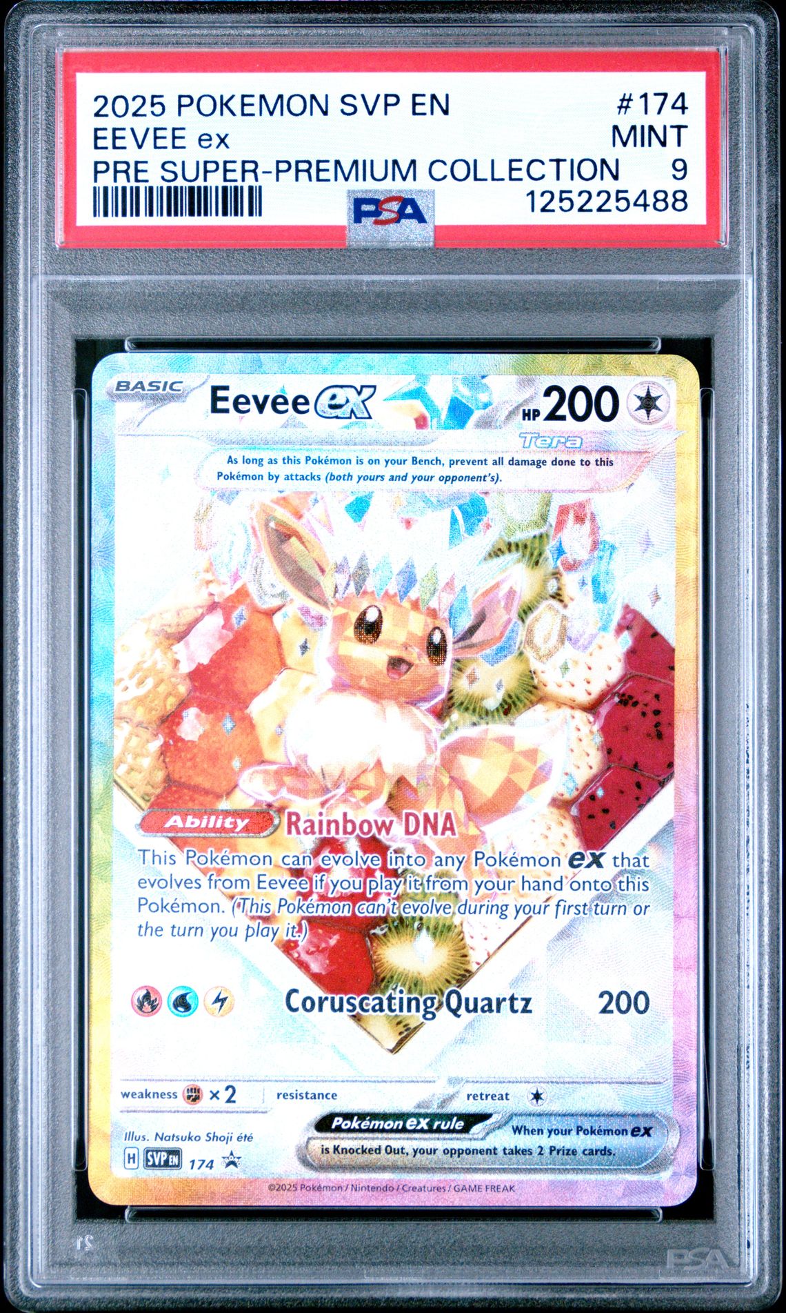 2025 Pokemon Svp En-Sv Black Star Promo Eevee Ex #174 (Pre Super-Premium Collection) Mint 9 front