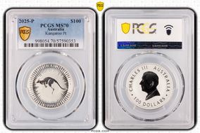 2025-P $100 Kangaroo Pt MS70