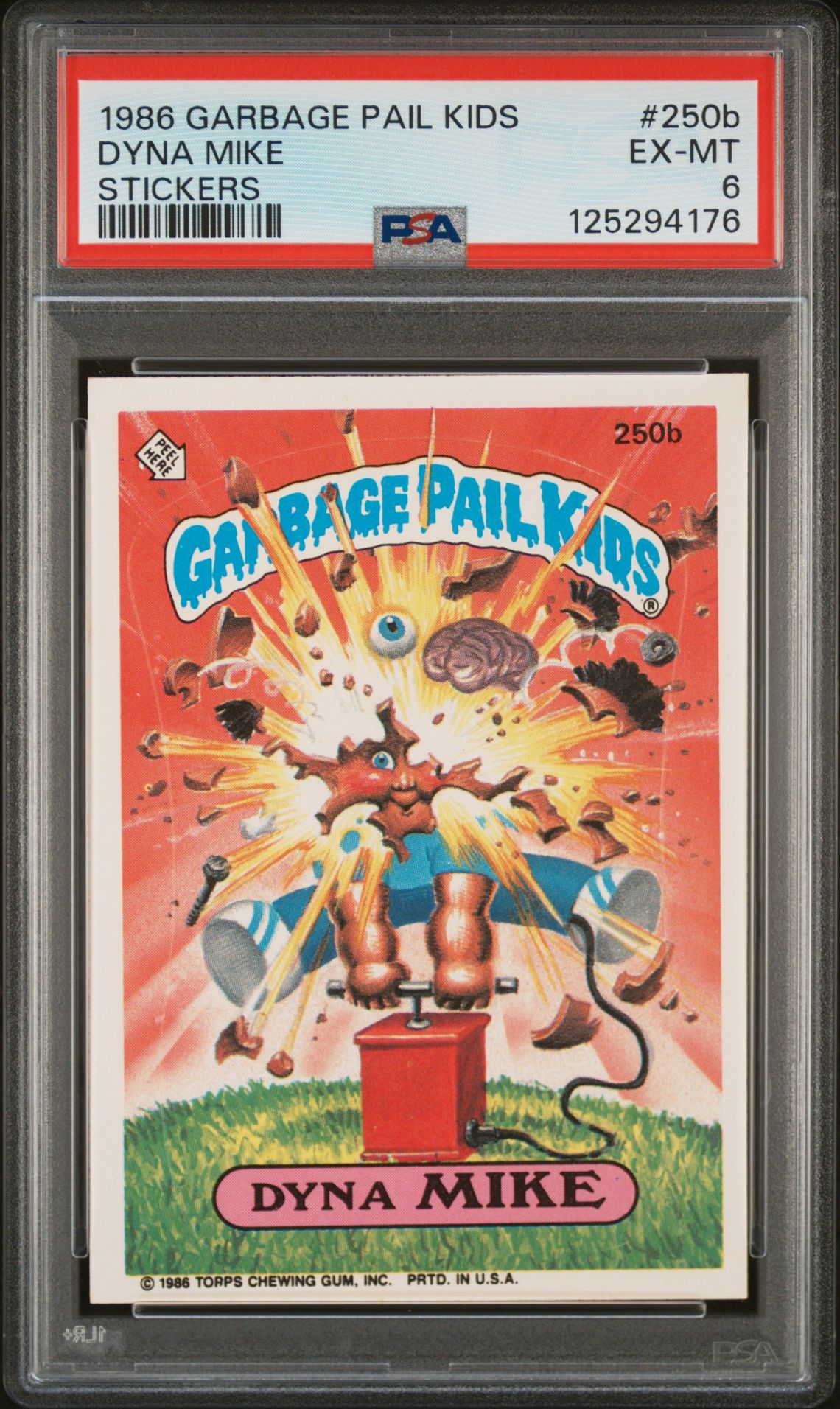 Dyna Mike PSA 6
