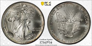 1993 $1 Silver Eagle MS67