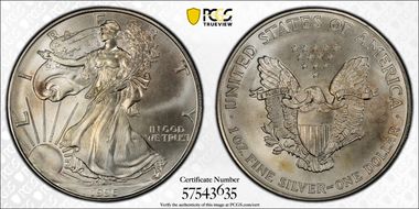 1996 $1 Silver Eagle MS67