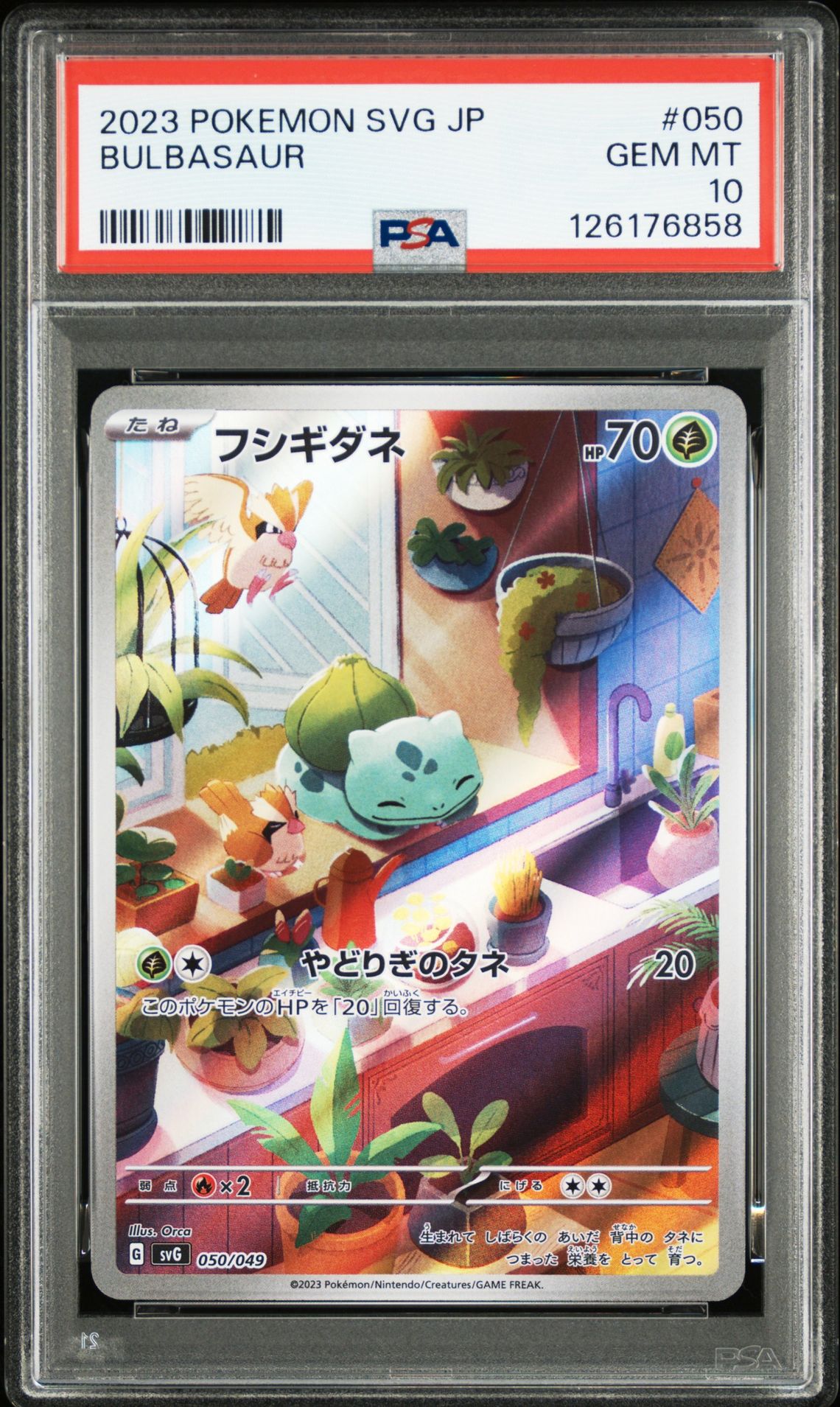 2023 Pokemon POKEMON JAPANESE SVG-VENUSAUR & CHARIZARD & BLASTOISE SPECIAL DECK SET EX #050 Bulbasaur front
