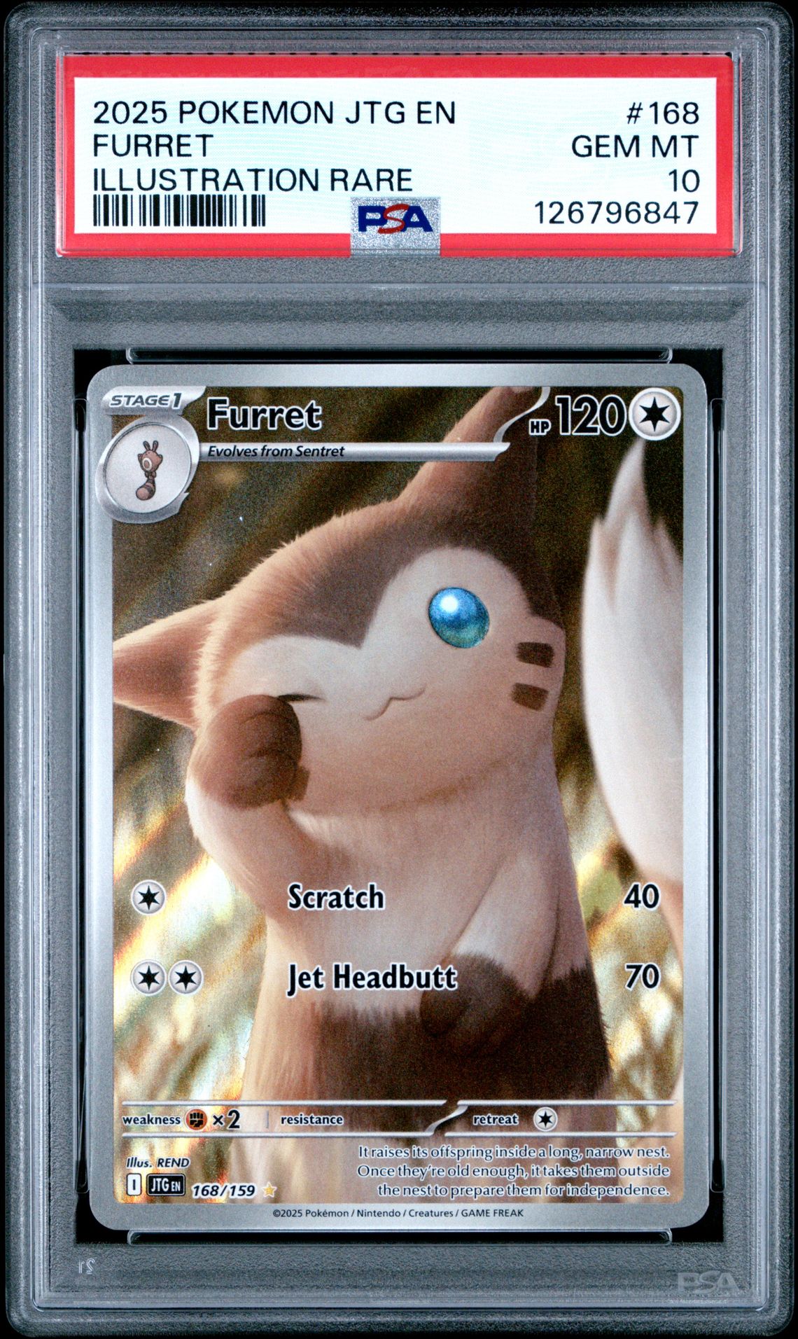 2025 Pokemon Jtg En-Journey Together Furret #168 (Illustration Rare) Gem Mt 10 front