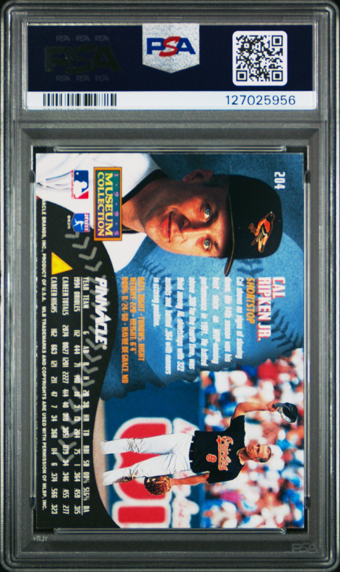 1995 Pinnacle Cal Ripken Jr. #204 (Museum Collection) Nm 7 back