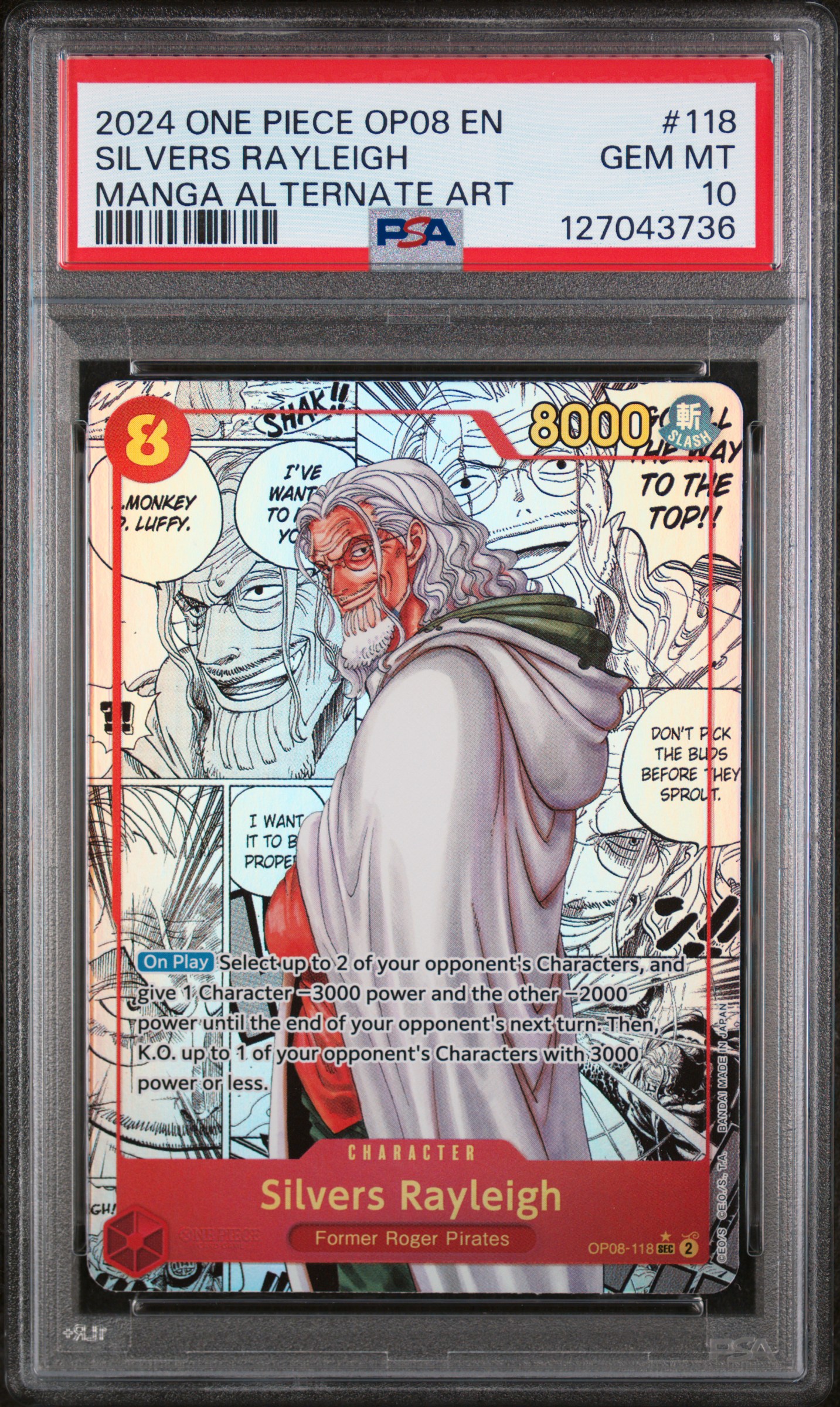 SILVERS RAYLEIGH