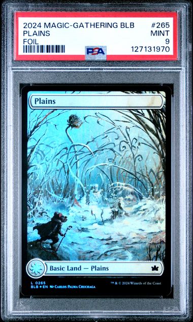 2024 MTG Bloomburrow Foil #265 Plains front