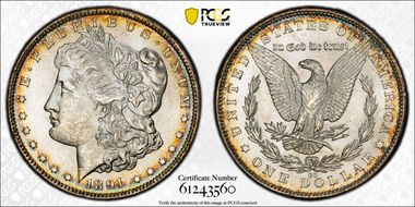 1891-CC $1 VAM 3, Spitting Eagle MS64