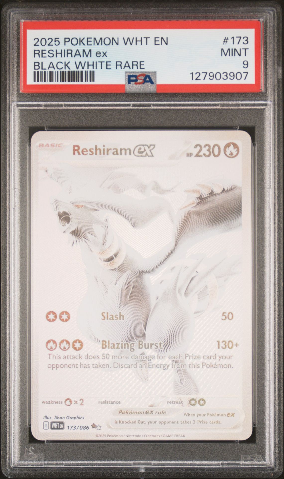 2025 Pokemon Wht En-White Flare Reshiram Ex #173 (Black White Rare) Mint 9 front