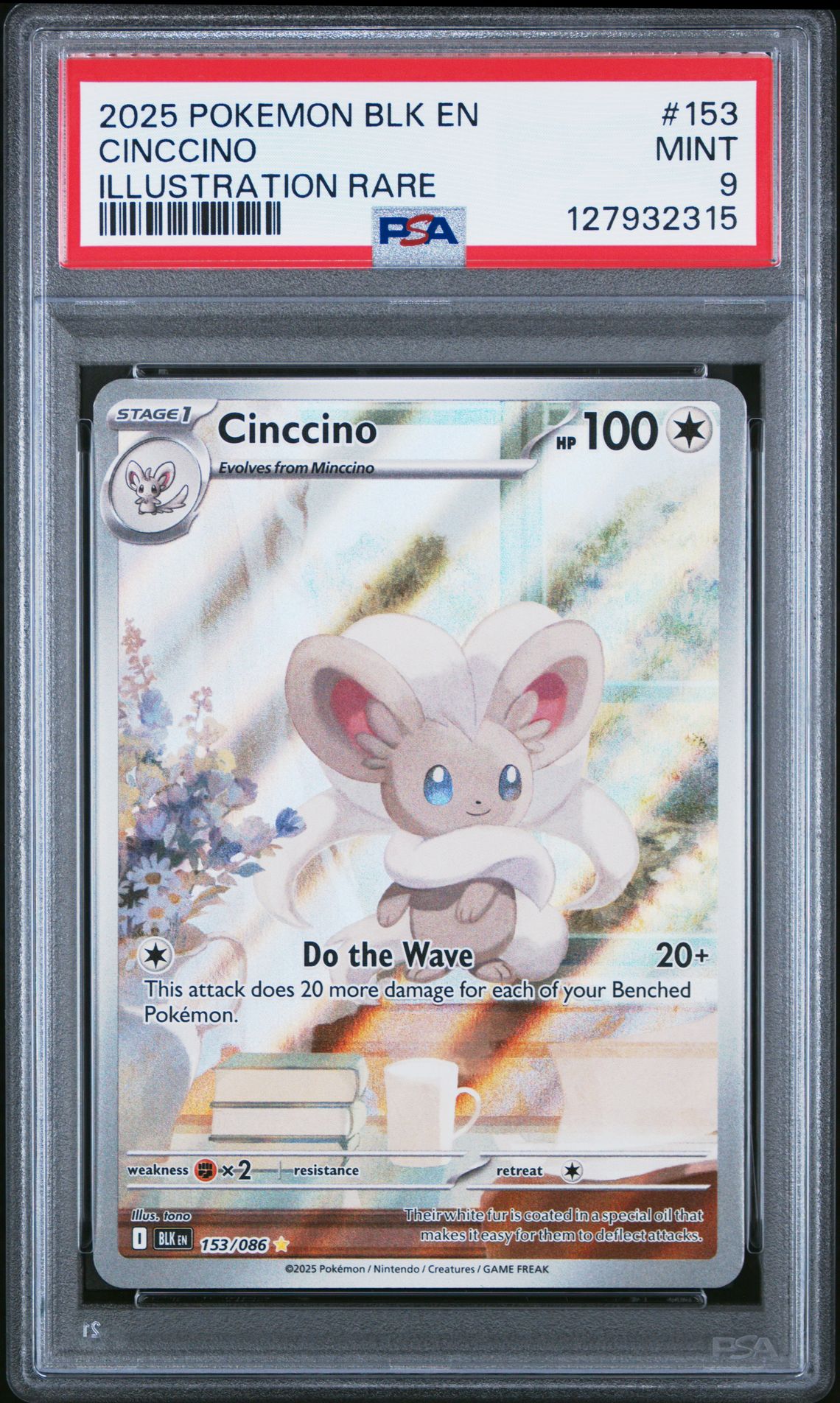 2025 Pokemon POKEMON BLK EN-BLACK BOLT ILLUSTRATION RARE #153 Cinccino front