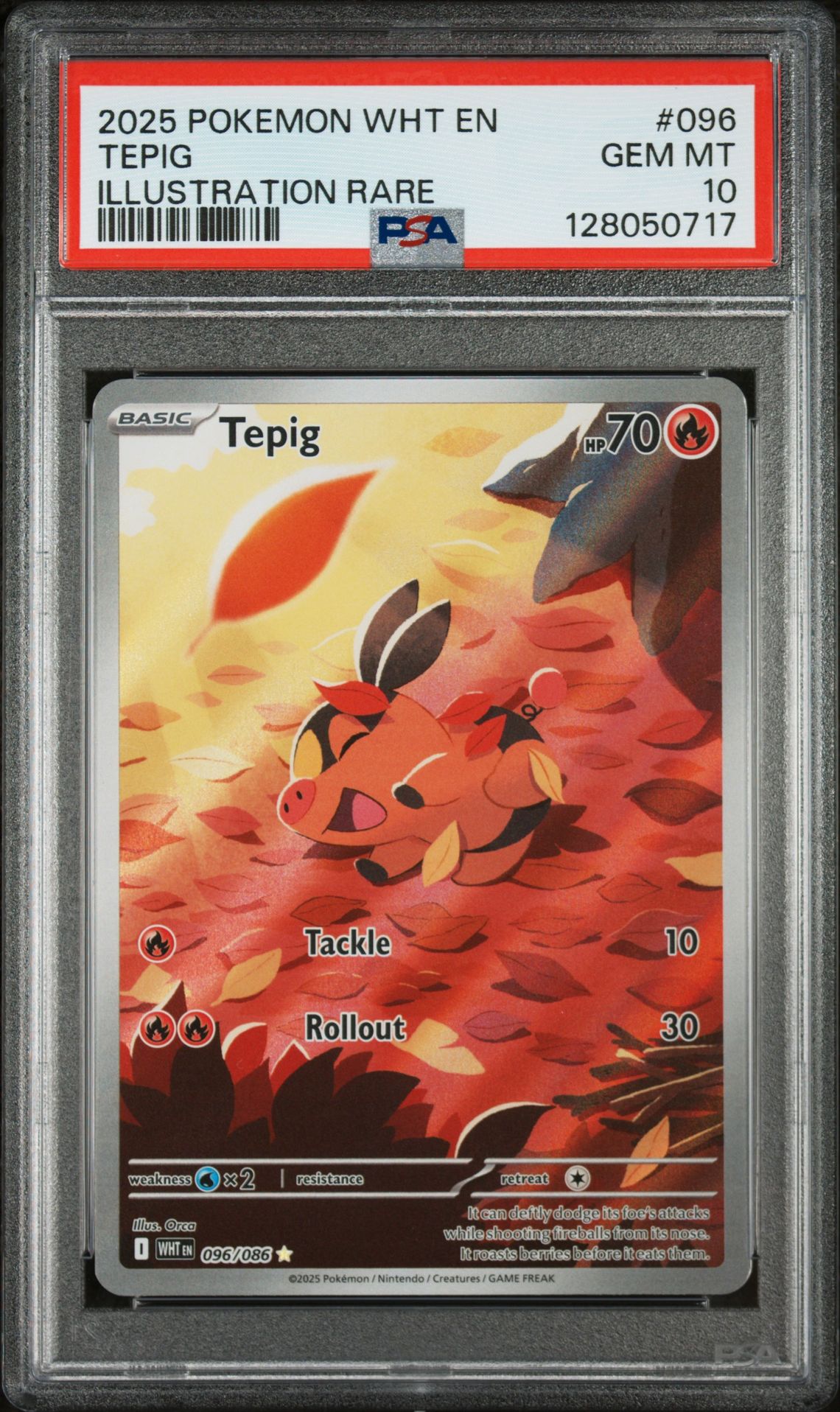 2025 Pokemon POKEMON WHT EN-WHITE FLARE ILLUSTRATION RARE #096 Tepig front