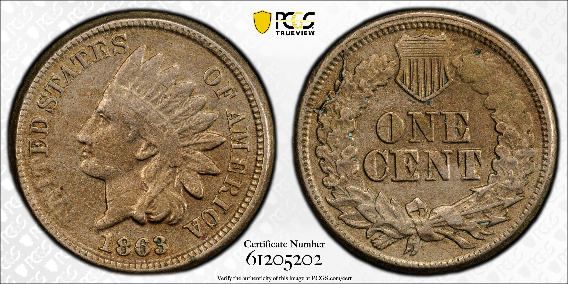 1863 Indian Cent