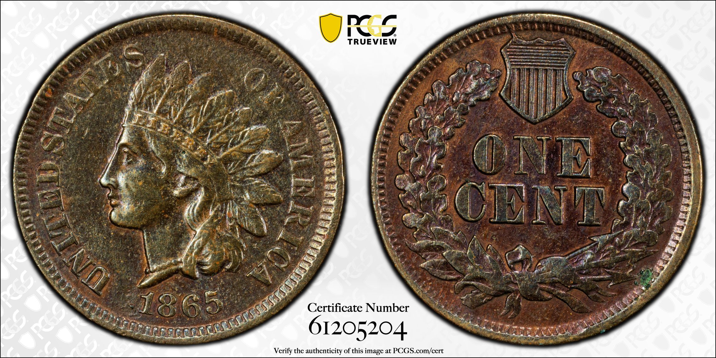 1865 Fancy 5 Indian Cent