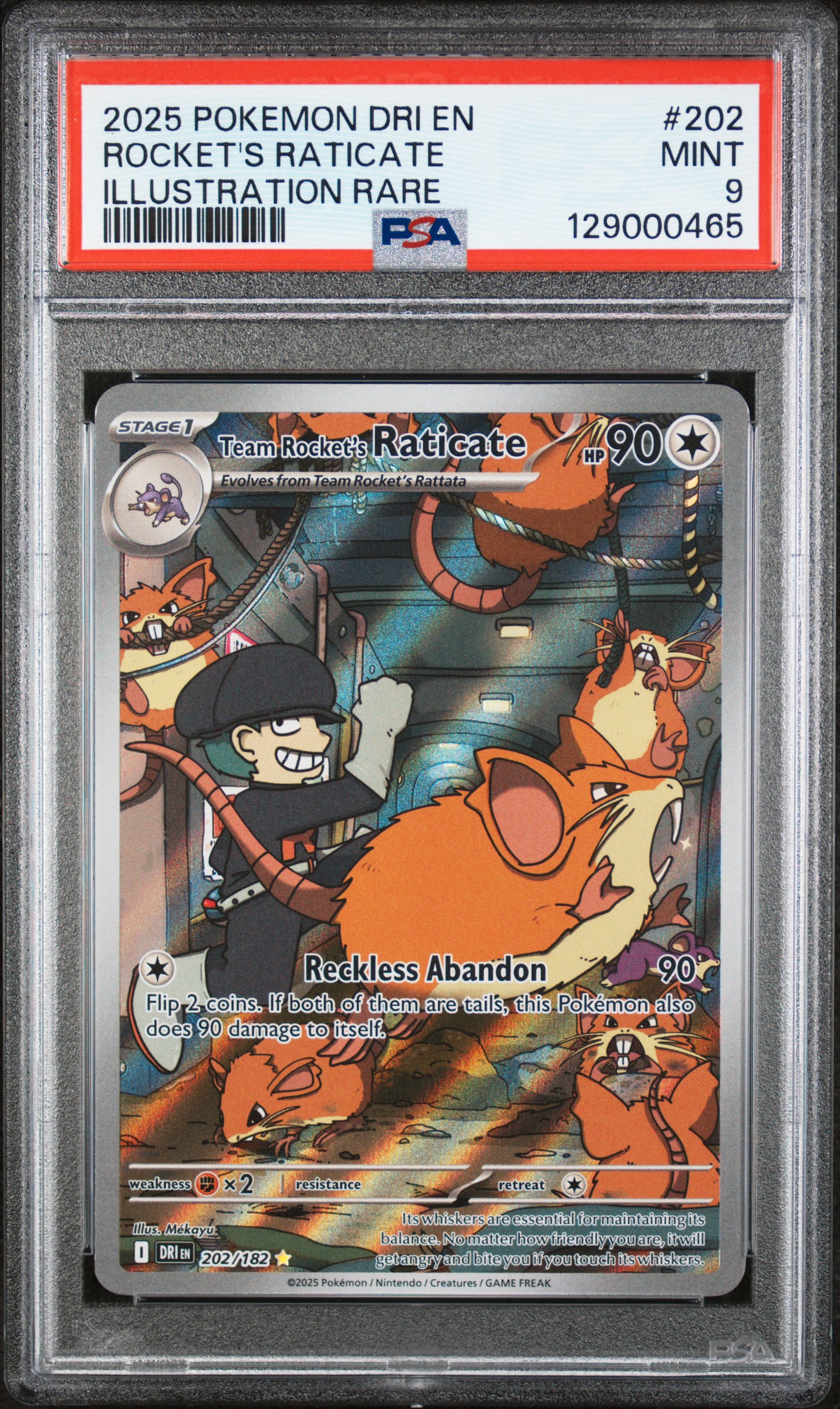 2025 #202 Team Rocket's Raticate PSA 9 Dri EN-Destined Rivals