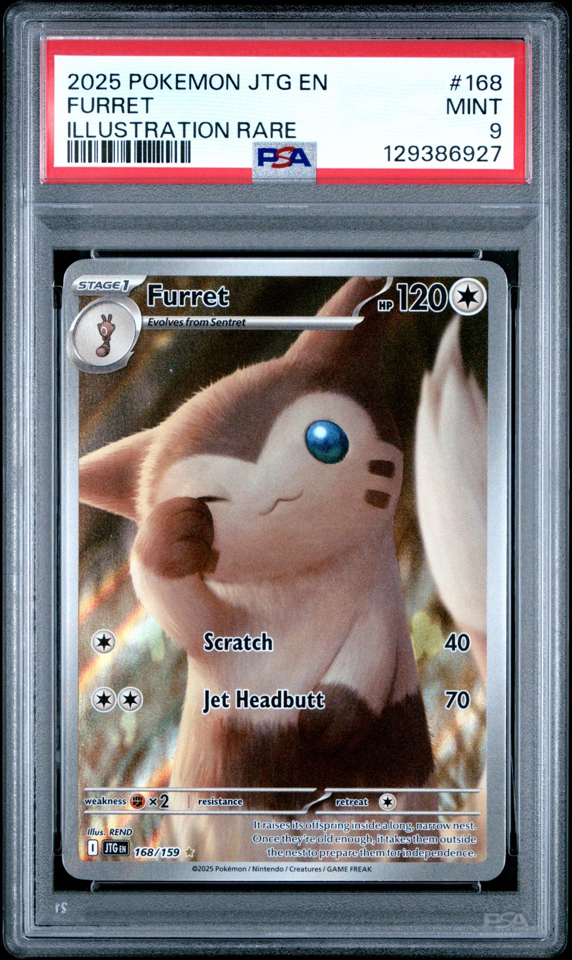 2025 Pokemon Jtg En-Journey Together Furret #168 (Illustration Rare) Mint 9 front